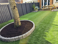 Artificial Grass
