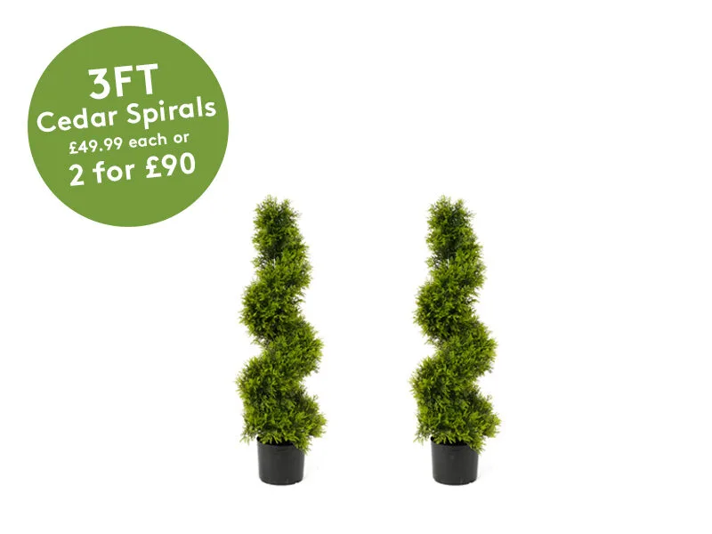 3 foot tree offer