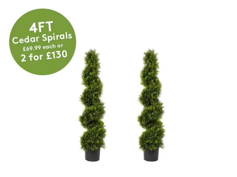 4ft tree offer